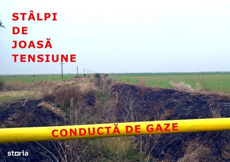 Teren extravilan de vanzare in Mihaile?ti, Giurgiu - 3