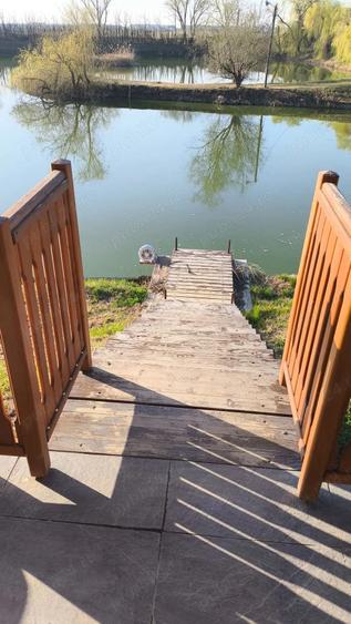 Proprietate de poveste in Sannicolau Mare - 18