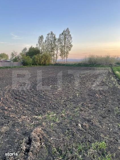 Teren de 3600 mp, în Forăști