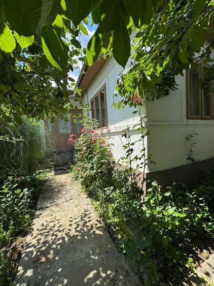 Casă cu 4 camere în Vizantea Răzășească
