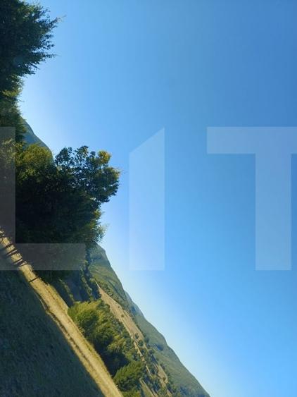 Teren extravilan de 11600 mp, în Turia