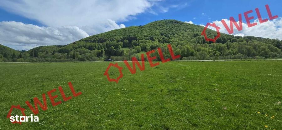 Teren de 5310 mp, în Vama Buzăului