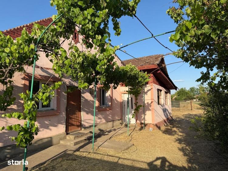 Casă cu 4 camere cu Teren 1600 Mp în Iecea Mare