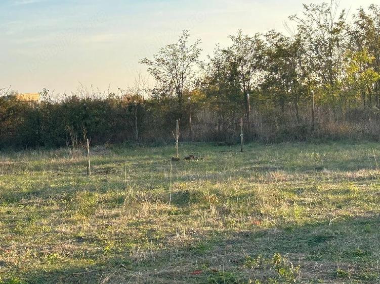 Teren de 920 mp, în Pruni