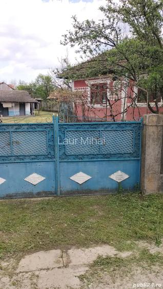 Casa si gradina Casa si gradina