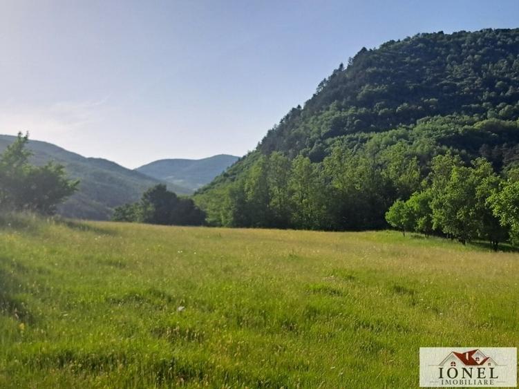 Vanzare casa cu 19.549 mp teren in Vintu de Jos - Valea Vintului - 9