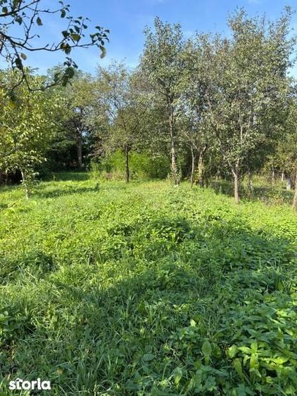 Casa la tara pt renovare - 3