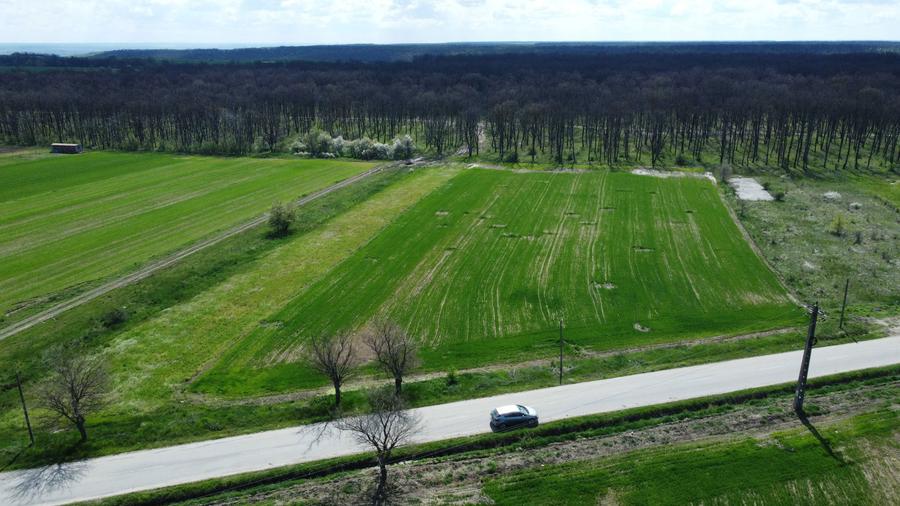 Teren Intravilan langa padure - zona linistita, perfect pentru casa! - 5