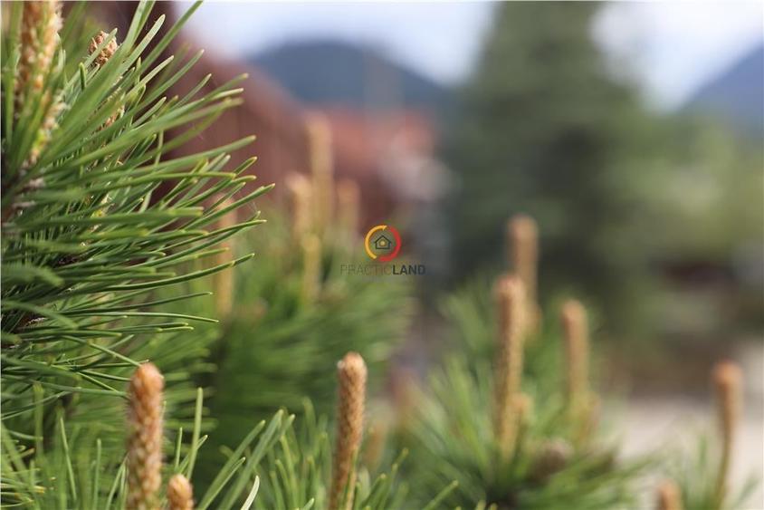 constructii si teren  intravilan18.000 mp - 1