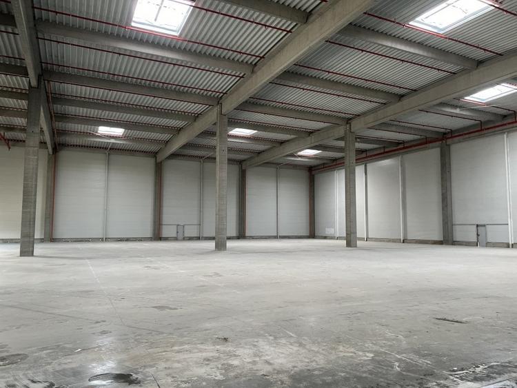 COMISION 0 / Modul de hala noua 2025 / Sprinklere-Aviz ISU - 5