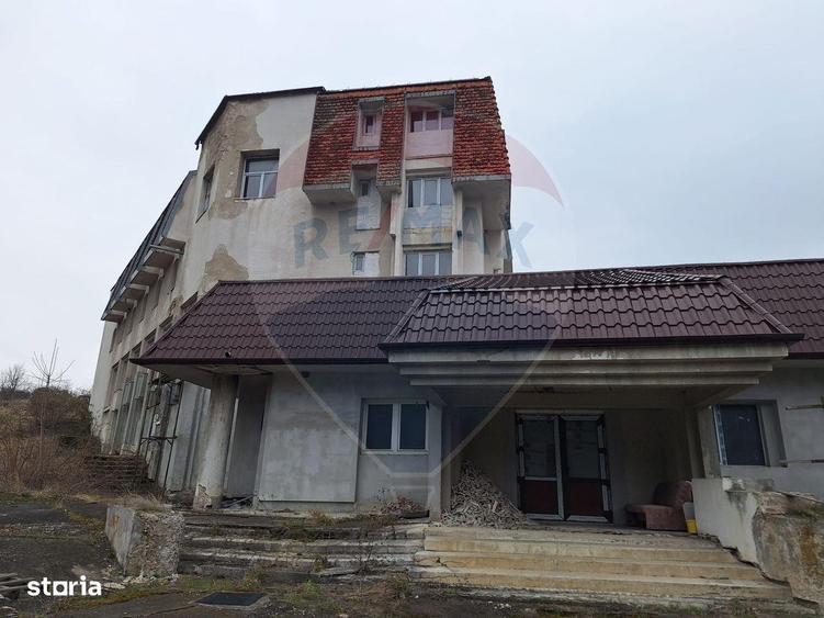 Pensiune/Hotel Hanul Izvorul Crisul Repede - 9