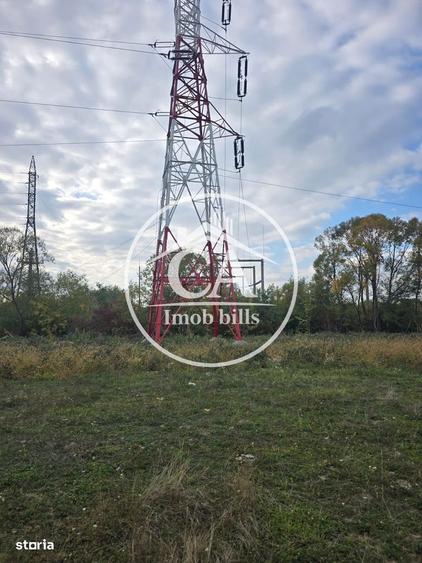 Teren extravilan 150.000 mp de vanzare in Tileagd, Bihor - 1