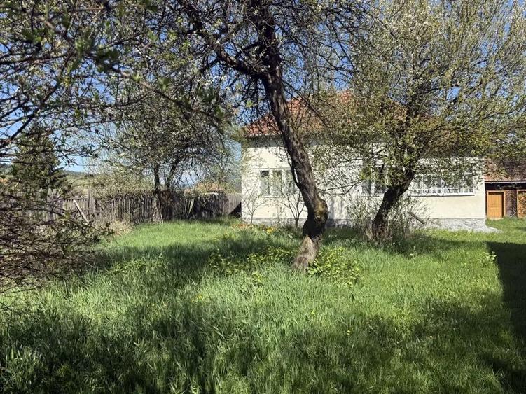 Casa de vanzare Zencani - 4