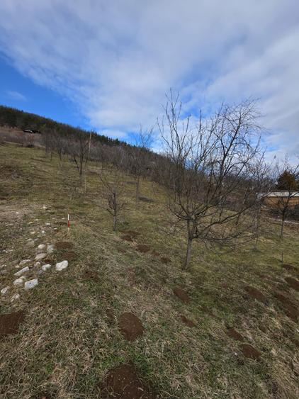 Teren intravilan - 4