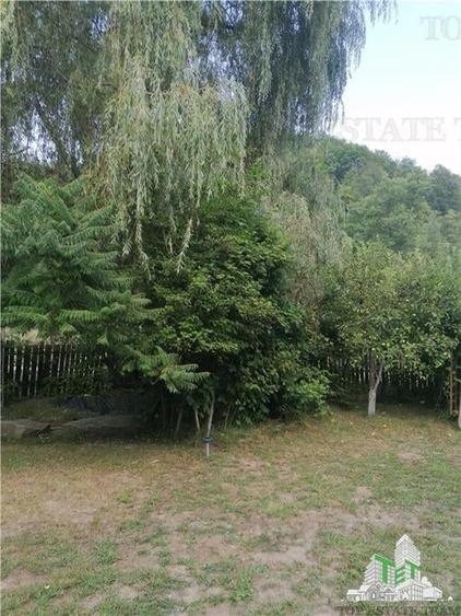 Casa de vacanta in Arges - 2