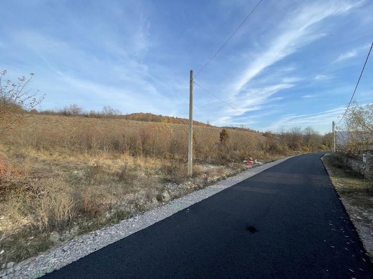 Teren intravilan de vanzare in localitatea Eselnita, strada Salcamilor - 1