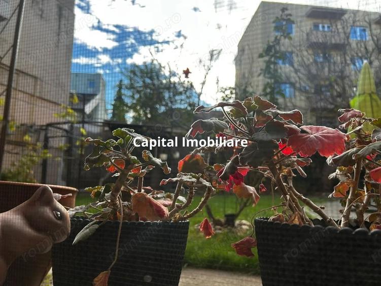 Casa in inima Aradului, ultracentral pe Malul Muresului - 7