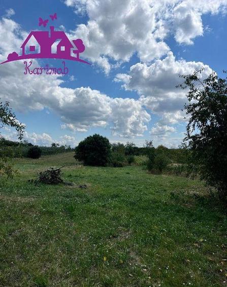 Casa in localitatea Carandeni - 5