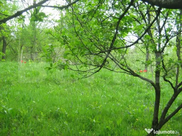 Teren de vanzare, 884 mp, zona Runcu - 2