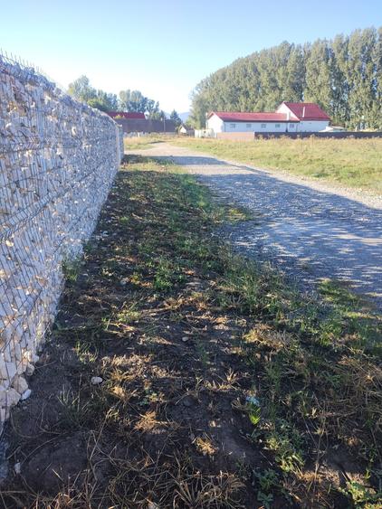 Vand pamant pentru casa - 3