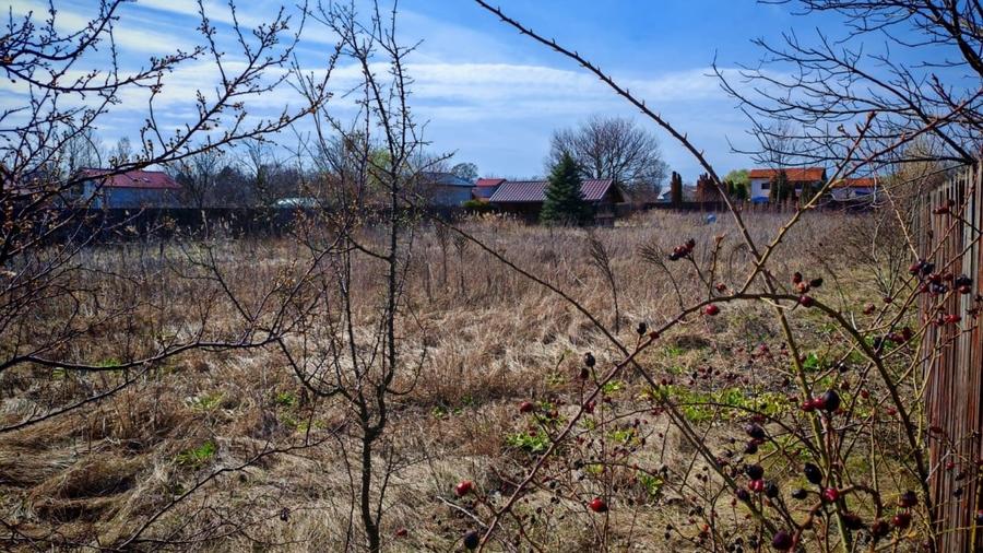 REL4001136 Teren de vanzare Gruiu l Lacul Snagov - 4