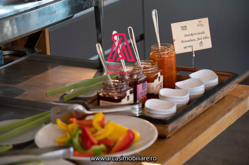 Afacere la Cheie Hotel de vanzare Statiunea Paltinis! - 29