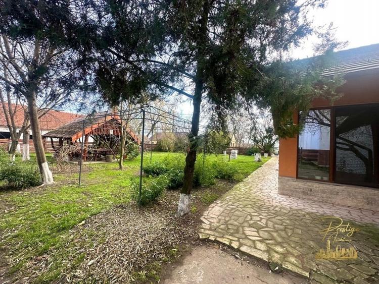 Domeniu - Centru de colectare, 7 ha de vanzare in Valea lui Mihai - 50
