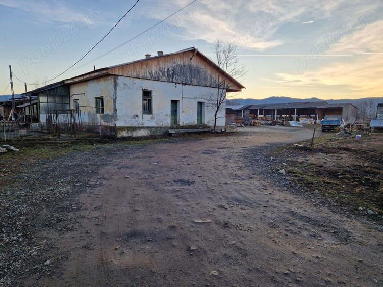 Inchiriez spa?ii produc?ie, Afacere la cheie Gatar ?i cherestea - 1