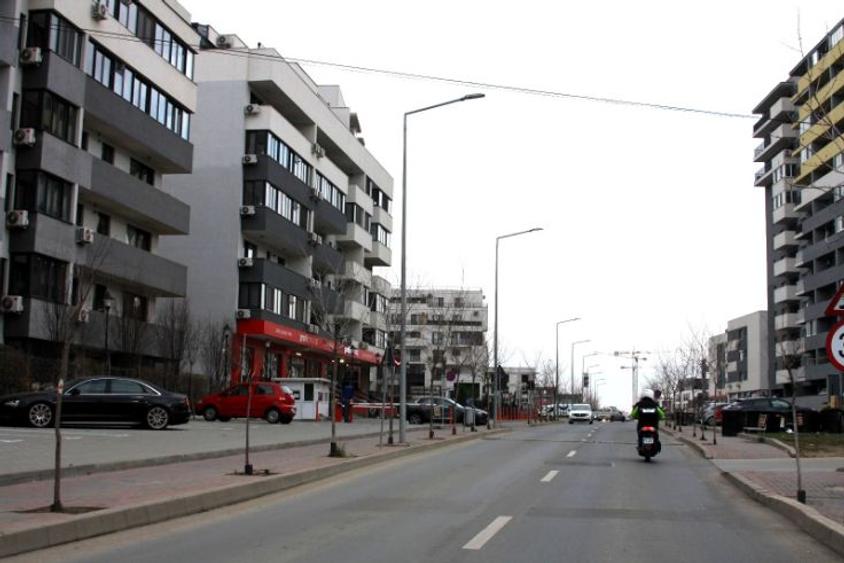 Theodor Pallady, teren 5000 mp - 3