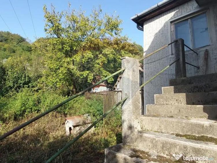 Casa individuala cu teren generos - 1