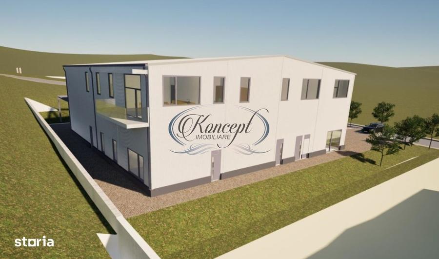 Teren industrial cu autorizatie hala, Valea Chintaului - 1