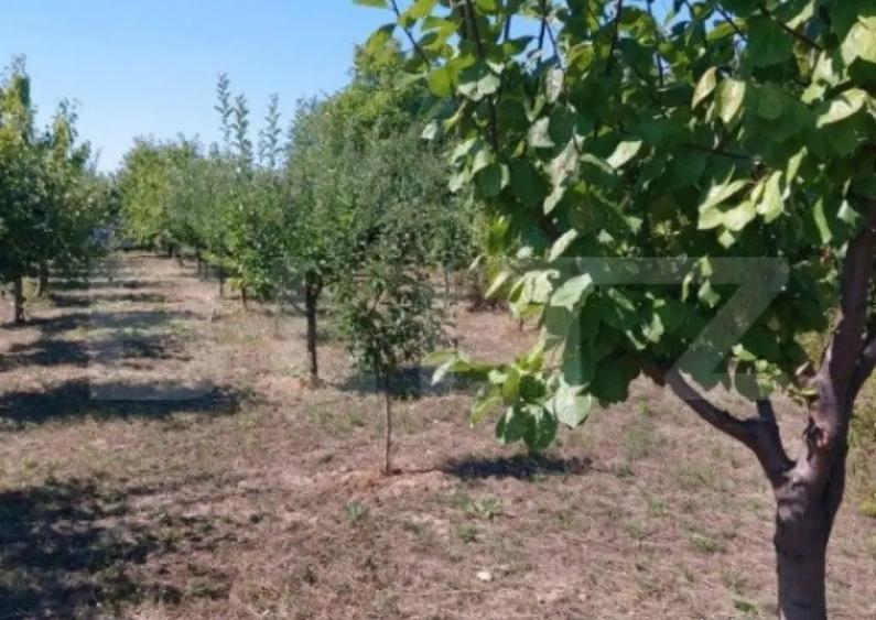 Teren extravilan de vanzare 2603 mp, zona IPL - 3