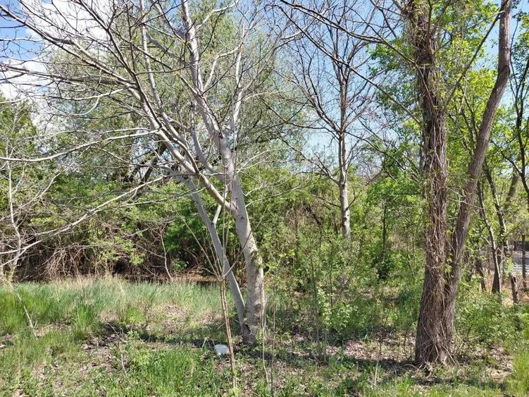 Teren intravilan 3.250 mp in File?ti Ideal pentru casa sau investi?ie! - 1