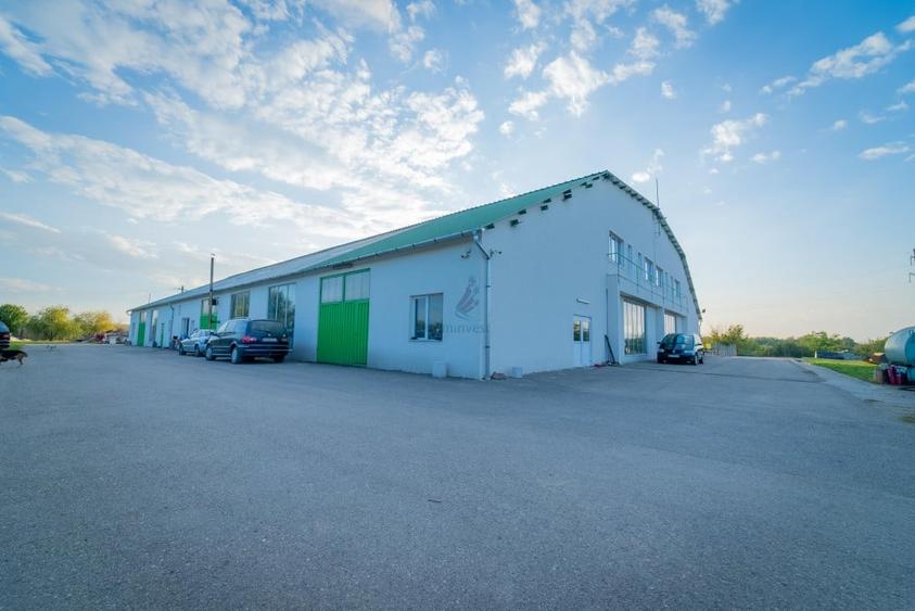 Gaminvest Hala industriala de vanzare in Biharia, Bihor, Romania,V3046 - 11