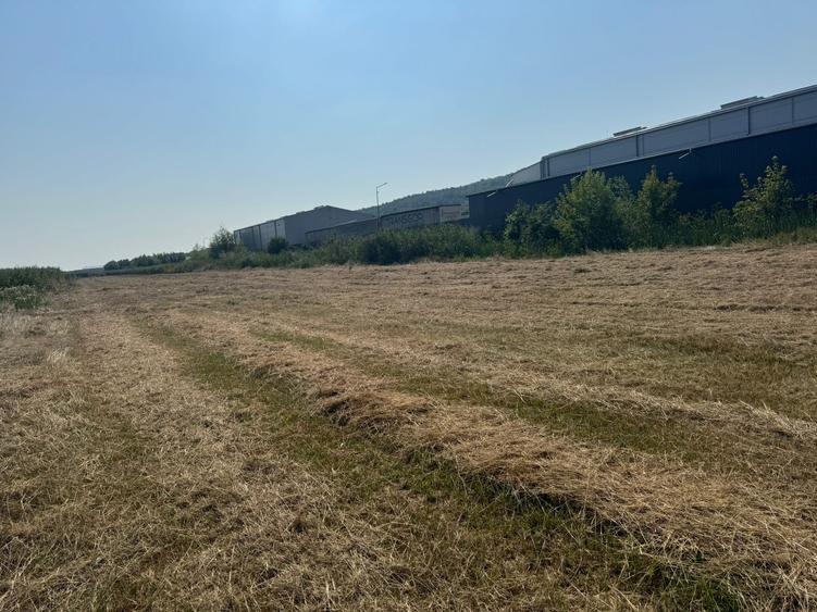 Teren intravilan industrial – Tomești, zona Contom - 2