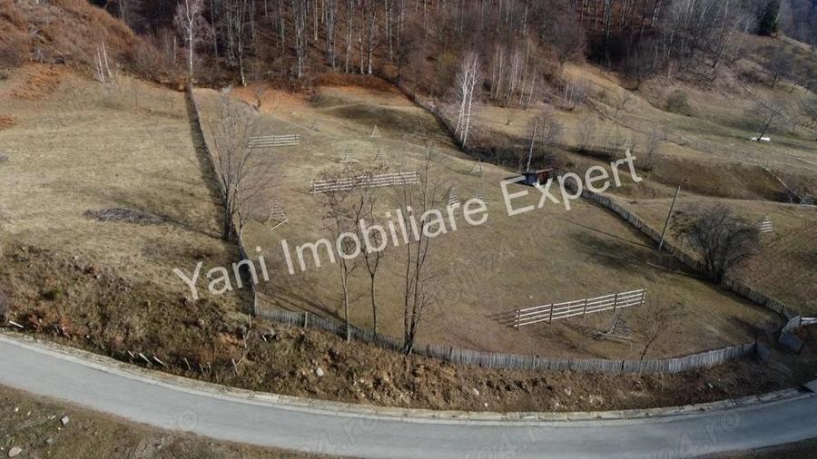 Teren de vanzare in comuna Cicane?ti, Jude? Arge?. - 3