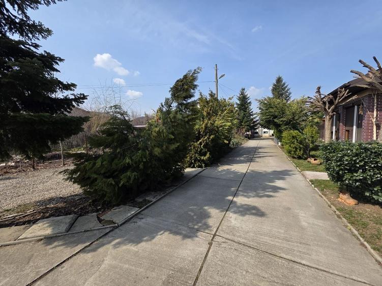 Casa cu teren 1250 m Matei Millo - 8