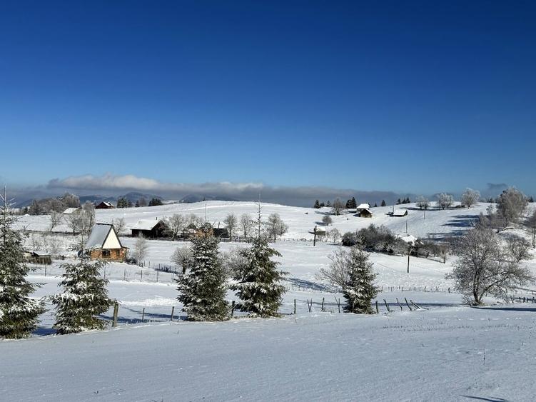Teren satul Sirnea, intravilan, deschidere 120 m la drum asfaltat, - 2