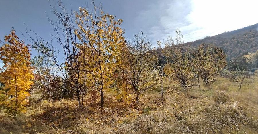 Teren Intravilan Bunloc - 13