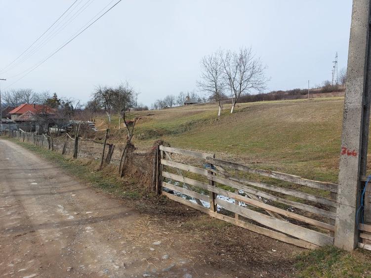 Teren intravilan in Valea Crisului - 1