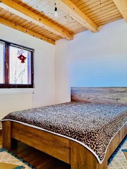 Casă P+1E în Ocina de Jos, Prahova – 182 mp, teren 993 mp, zonă lângă pădure - 9