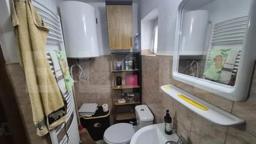 Casa cu 2 camere, 65 mp, teren 2910 mp, in Viile Satu Mare - 5