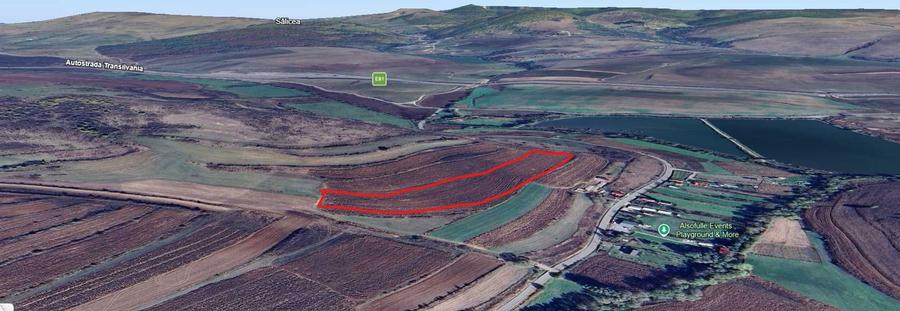 Vand teren extravilan Filea de Jos 4900 mp, langa intravilan - 3