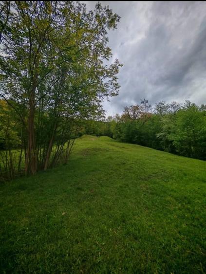 Teren de vanzare Drajna de sus - 4