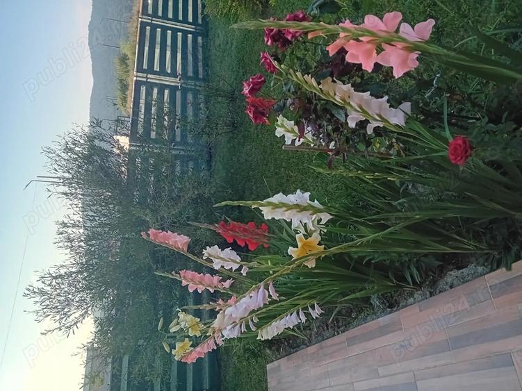 De vanzare casa P+E,constructie 2023 - 2