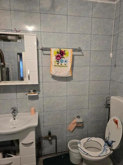 Vand casa Com Pietroasa-Bihor, sosea , central ter 2500 mp, dublu front, utilit.,gaz - 9