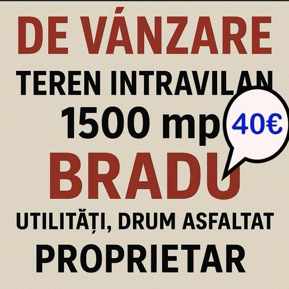 Vand teren 1500 mp teren in Bradu ,intravilan - 1