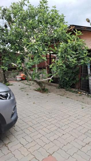 vand sau schimb casa cerneti - 2