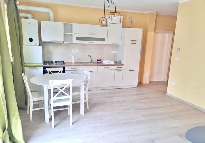 Pet Friendly Apartament Lipovei Aradului Iulius Sever Bocu Dumbravita - 3