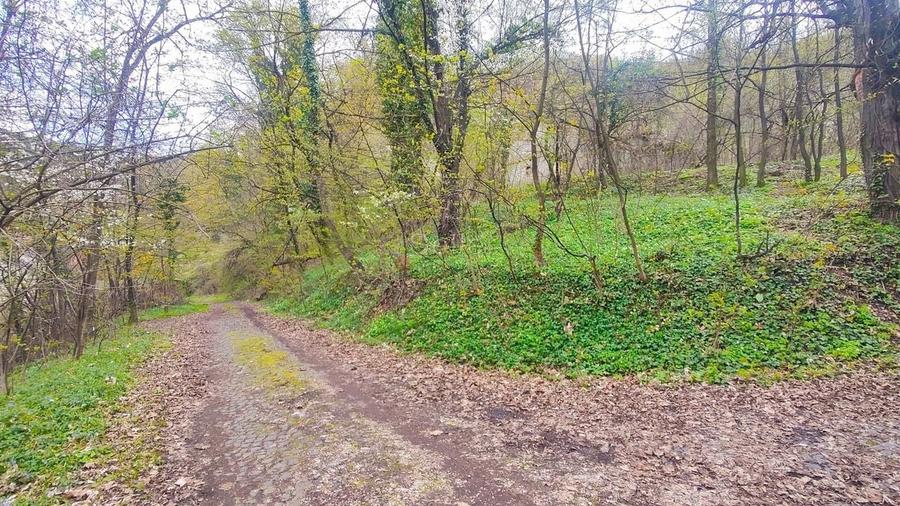 Teren Intravilan Centrul Civic - 12